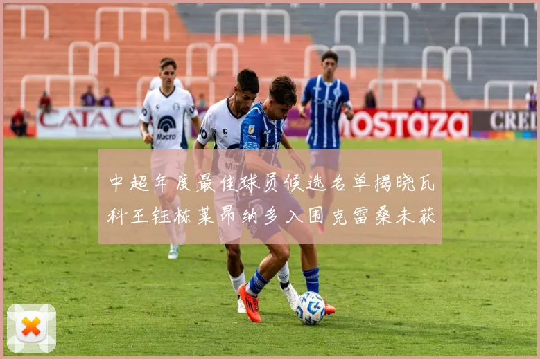 中超年度最佳球员候选名单揭晓瓦科王钰栋莱昂纳多入围克雷桑未获提名